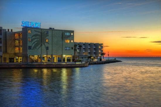 410-Gorgeous Views, Waterfront, Wifi, Pool And Close To Bucs Stadium Tampa Exterior foto